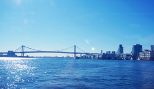 上海后花园之旅，邂逅宁静与美好